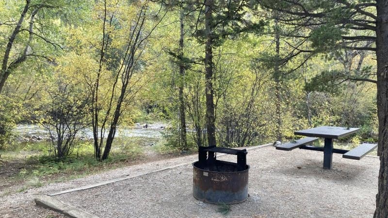 Campsite near creek surrounded by trees