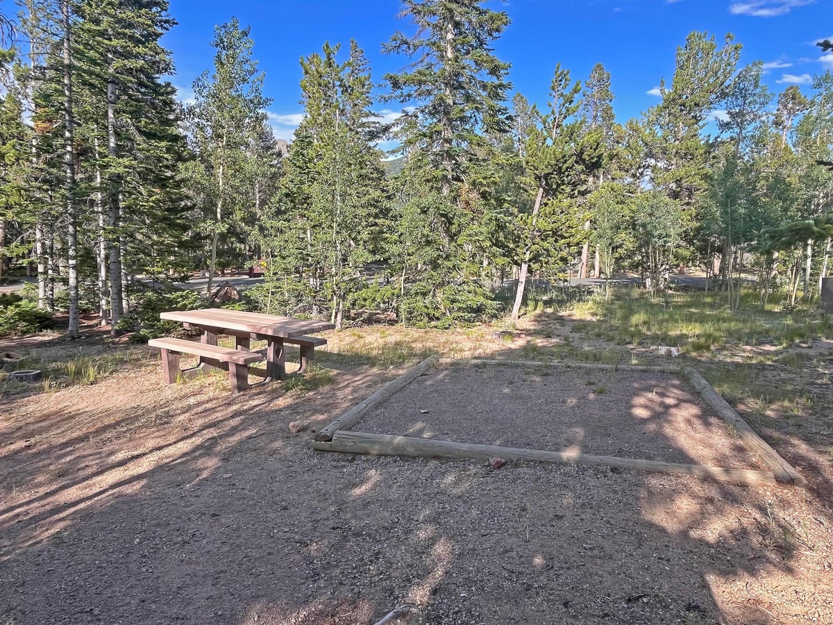 Tent pad and picnic table in a wooded Longs Peak Campground campsite