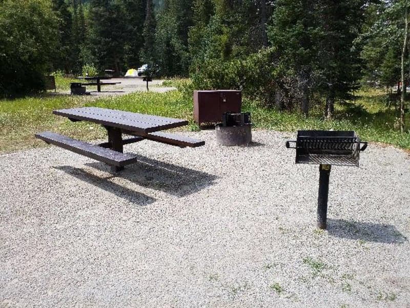 Picnic table and grill in a forested campsite at Camp Dick Campground