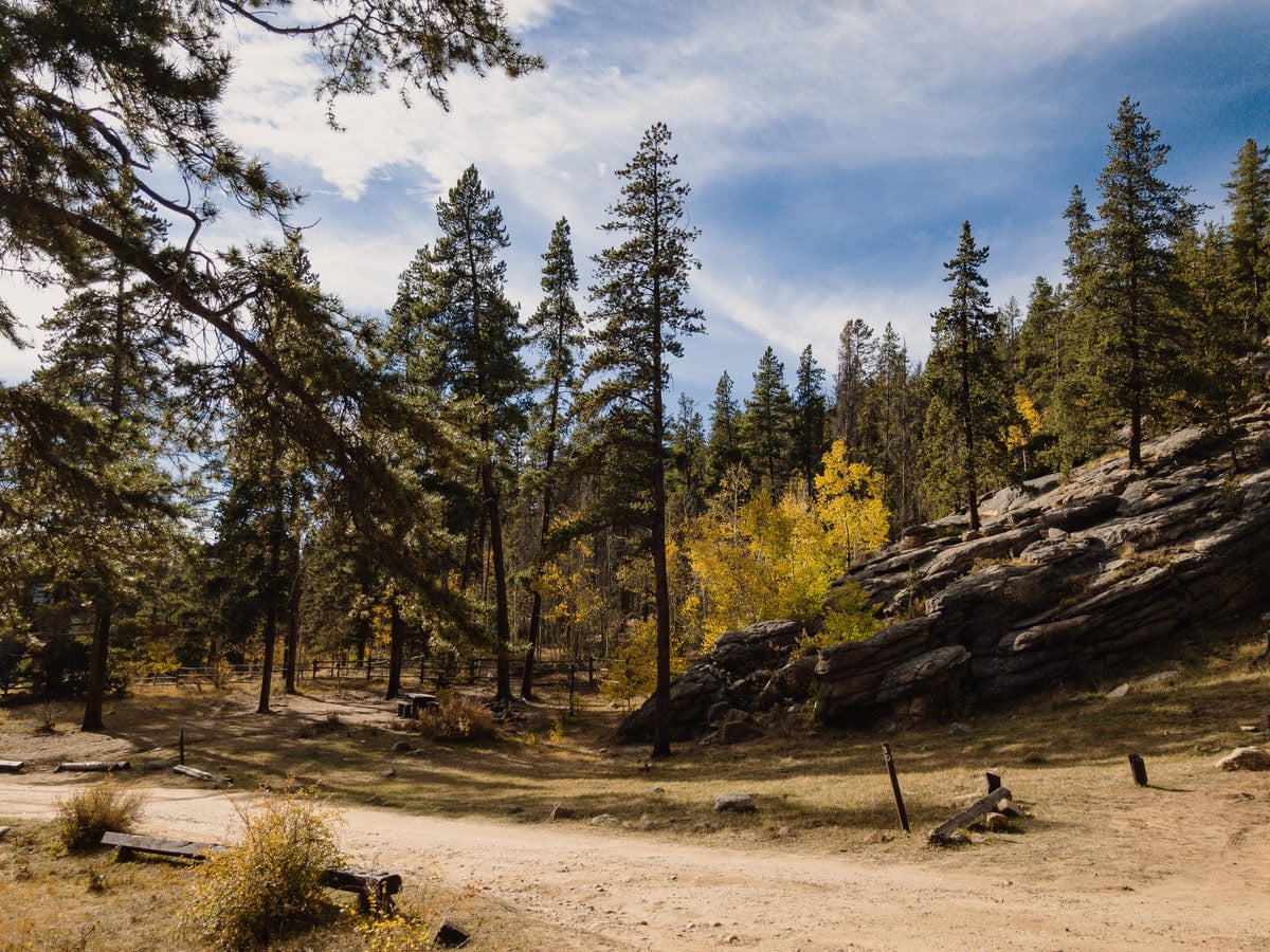 Dirt campground access lanes and forested campsite clearings at Burning Bear Campground