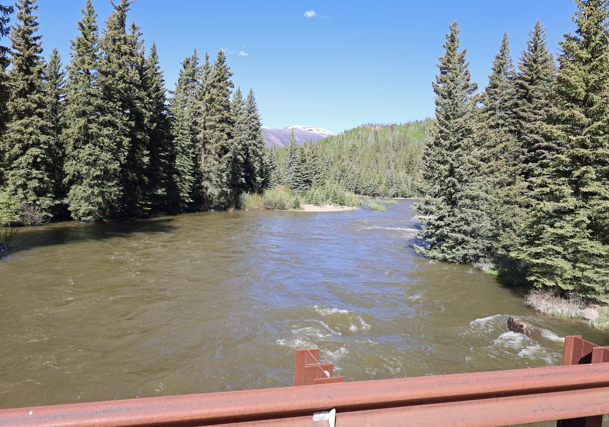 Rio Grande flowing through spruce forest at Thirty Mile Campground
