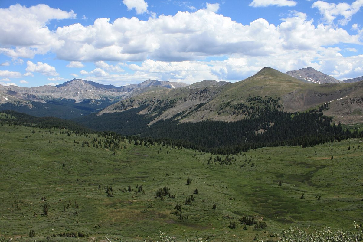 A broad green alpine basin below Mount Harvard, Mount Columbia, and Mount Yale beneath summer clouds near Cottonwood Pass.