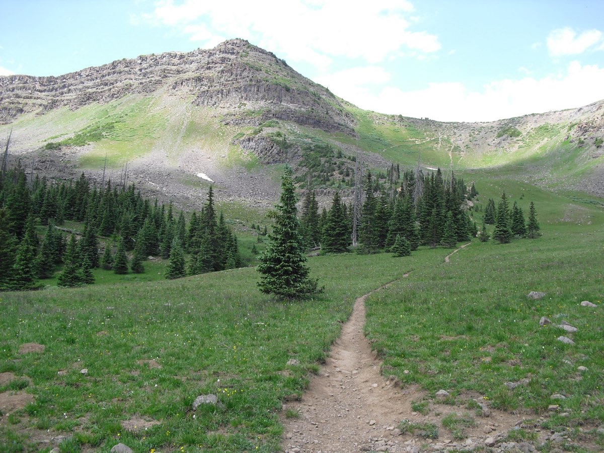 A narrow trail winds through a green meadow and spruce trees toward the Flat Tops’ layered volcanic cliffs.