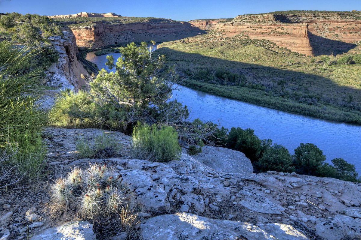 The Colorado River bends through the red cliffs and green river corridor of Ruby–Horsethief Canyon west of Fruita.
