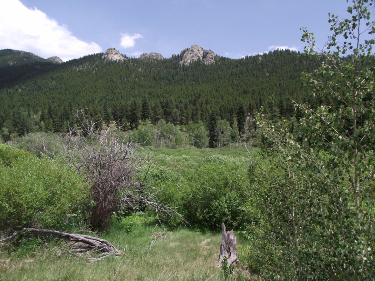 Rocky outcrops and conifer-covered slopes on Tremont Mountain in Golden Gate Canyon State Park.