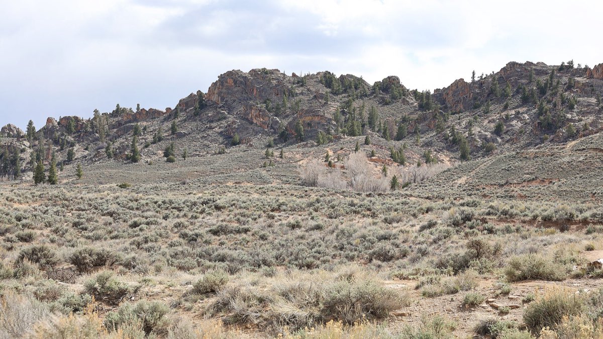 Sagebrush spreads below rugged granite outcrops and scattered pines at Hartman Rocks near Gunnison.