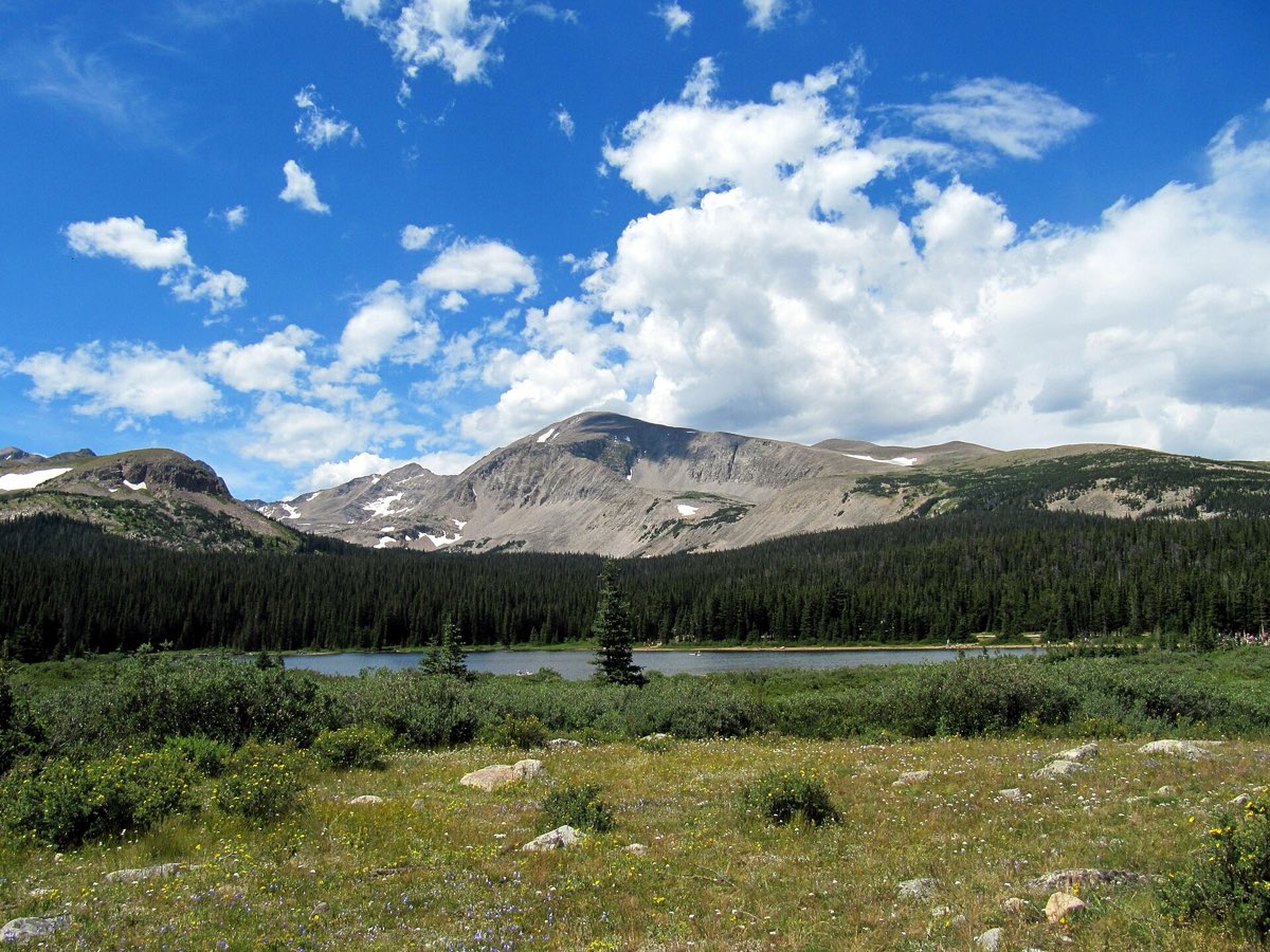 Brainard Lake below alpine ridges, evergreen forest, and a summer wildflower meadow.
