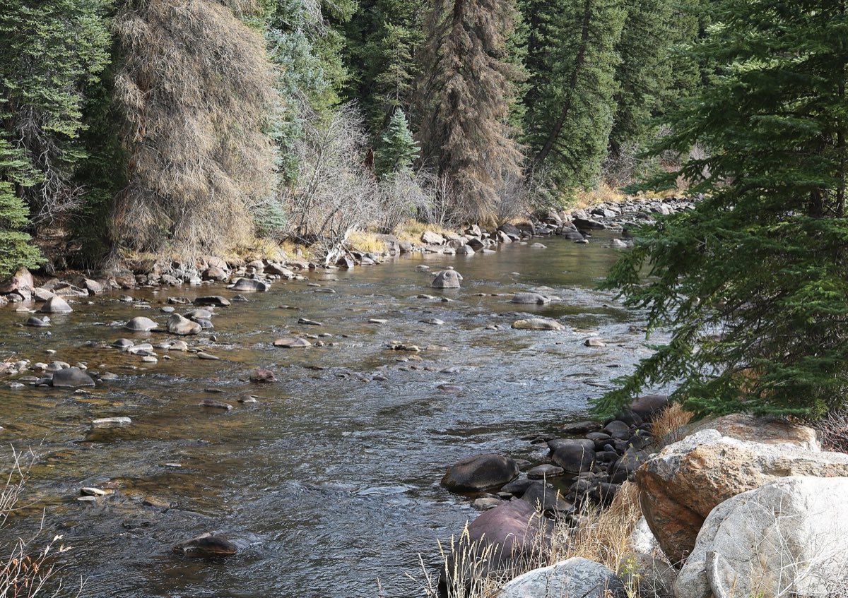 The Eagle River flowing through autumn vegetation near Minturn.